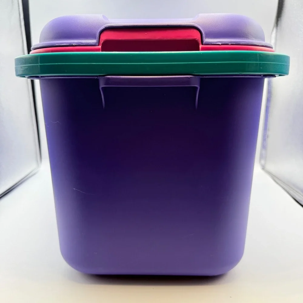 Vintage Eagle Purple Pink Teal Storage Chest with Tray 90s Retro Organizer